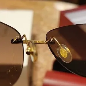 Cartier | Accessories | Cartier Sunglasses Level 3 | Poshmark display picture 3